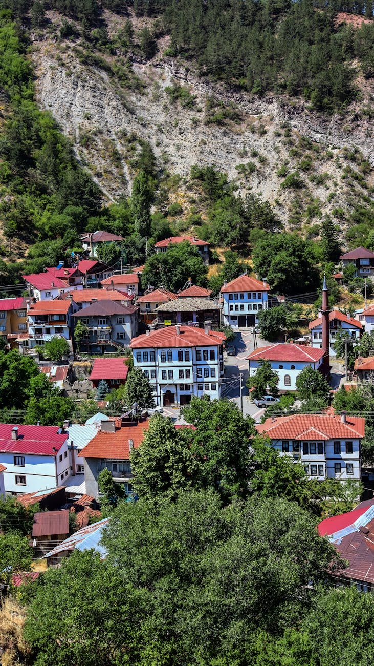 Türkiye'nin Bolu ilinde yemyeşil tepelerin arasında yer alan geleneksel çatılı Mudurnu köyünün doğal manzarası.