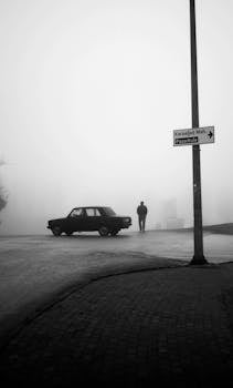 Arabanın Yanında Duran Adamın Gri Tonlamalı Fotoğrafı