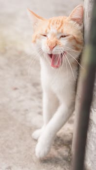 @dış mekan, açık hava, alımlı içeren Ücretsiz stok fotoğraf